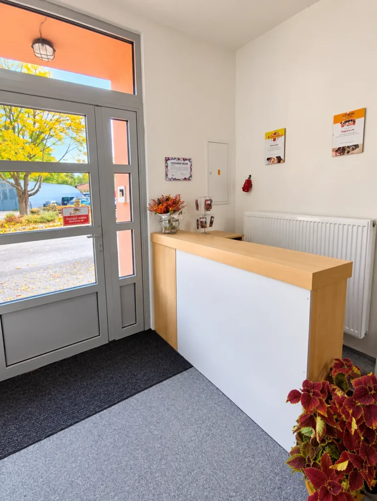 Reception counter at the entrance to Tivali’s collection point